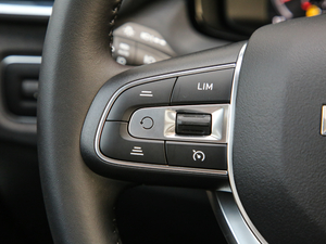 2019ܰ 2.0TD (q) ҫPro VI п؅^(q)