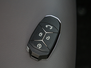 2019ܰ 2.0TD  ҫPro VI 