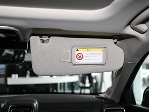 2019ܰ 2.0TD  Pro VI g