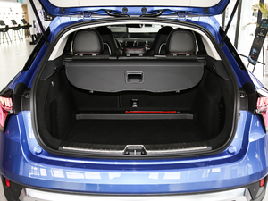 2019ܰ 2.0TD  Pro VI g