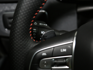 2019ܰ 2.0TD (q) Pro VI п؅^(q)