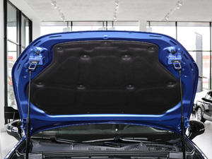 2019ܰ 2.0TD (q) Pro VI 