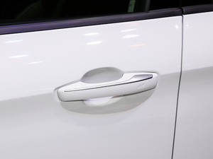 20191.5T PHEV Pro {T