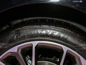 20192.0TD ԄӄPro ݆̥Ʒ