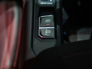 20201.5T MHEV Pro п؅^