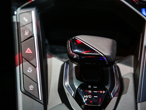 20201.5T MHEV Pro п؅^