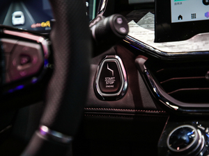 20201.5T MHEV Pro п؅^