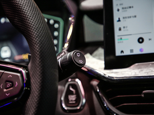 20201.5T MHEV Pro п؅^