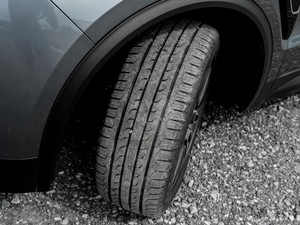 20202.0T 򌼃Pro VI ^