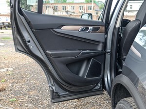 20202.0T (q)Pro VI g