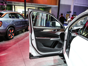 20202.0T 򌼃Pro VI {λ܇T