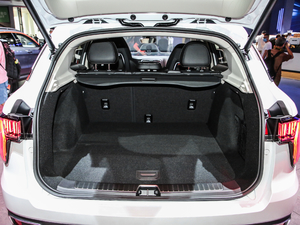 20202.0T 򌼃Pro VI g