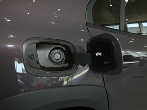 20201.5T DCT(q)ҫPro w