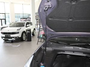 2020款1.5T DCT两驱耀Pro版 其它