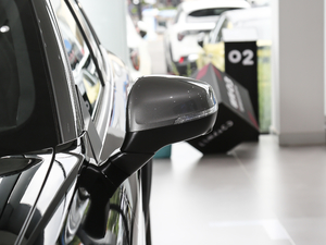 2021款冠军版 2.0T 自动两驱劲 后视镜