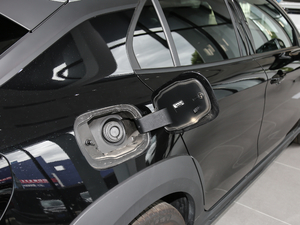 2021܊ 2.0T ԄӃ(q) w