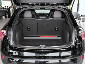 2021܊ 2.0T Ԅ(dng)(q) g