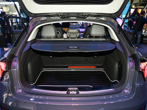 2021܊ 2.0T ԄӃҫ g