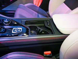 2021܊ 2.0T ԄӃҫ g