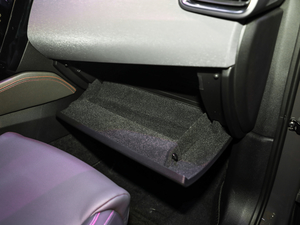 2021܊ 2.0T ԄӃҫ g