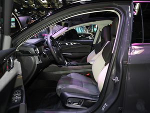 2021܊ 2.0T ԄӃҫ g