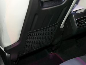 2021܊ 2.0T ԄӃҫ g