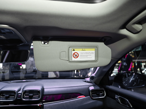 2021܊ 2.0T ԄӃҫ g