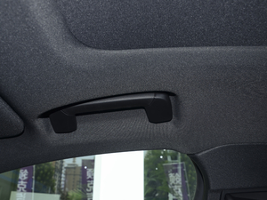 20211.5T DCT(q)Plus g