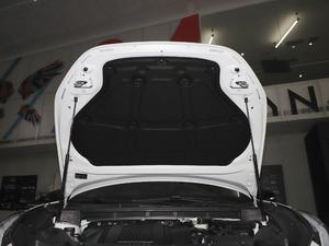 2021款1.5T DCT两驱劲Pro 其它