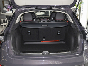 20211.5T DCTҫPlus g