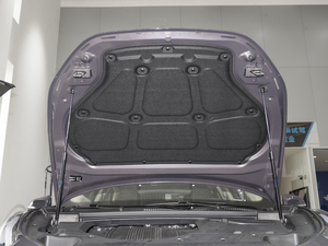 2021款1.5T DCT两驱耀Plus 其它
