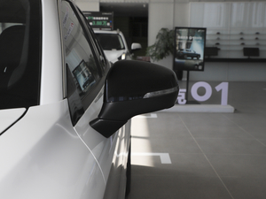 20212.0TD ԄӄPlus ҕR