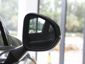 20211.5TD PHEV Halo ^