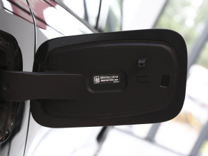 20211.5TD PHEV Halo ^