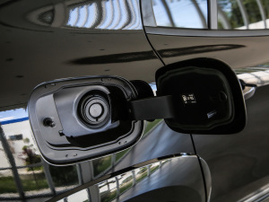 20212.0TD Halo {׼ w