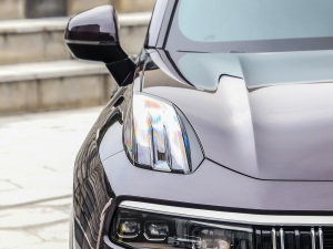 20212.0T PHEV Halo  (x)(ji)^