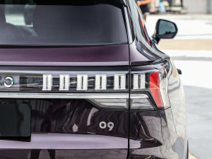 20212.0T PHEV Halo  (x)(ji)^