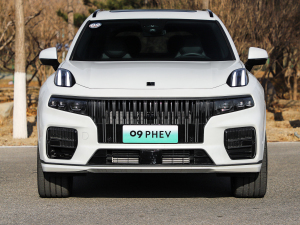 20212.0T PHEV Halo  