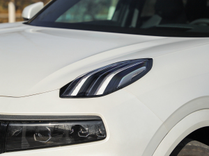 20212.0T PHEV Halo  ^