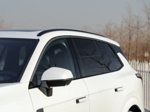 20212.0T PHEV Halo  (x)(ji)^