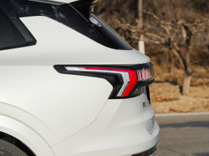 20212.0T PHEV Halo  (x)(ji)^