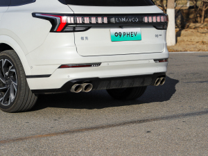 20212.0T PHEV Halo  (x)(ji)^