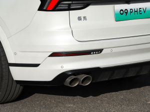 20212.0T PHEV Halo  (x)(ji)^