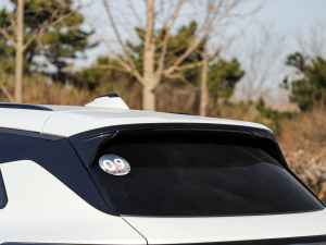 20212.0T PHEV Halo  (x)(ji)^