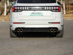 20212.0T PHEV Halo  (x)(ji)^