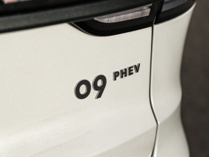 20212.0T PHEV Halo  (x)(ji)^