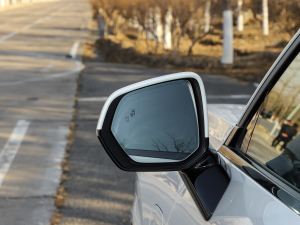 20212.0T PHEV Halo  (x)(ji)^