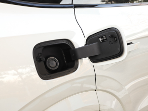 20212.0T PHEV Halo  w