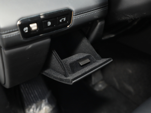 20212.0T PHEV Halo  g