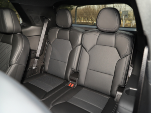 20212.0T PHEV Halo  g